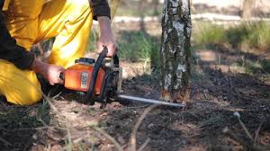 Best Soil Testing and Treatment  in Dundee, FL