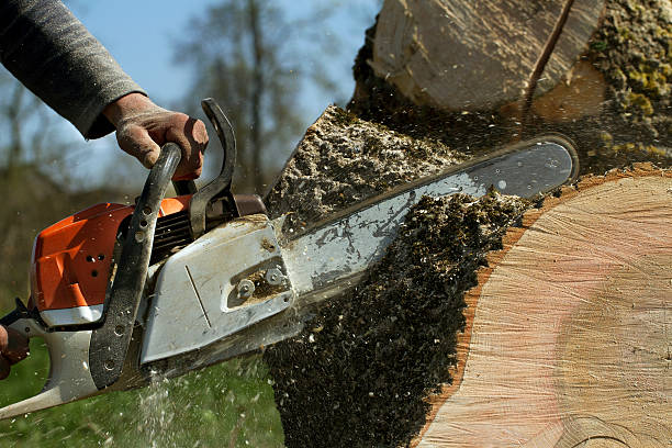 Soil Testing and Treatment in Dundee, FL